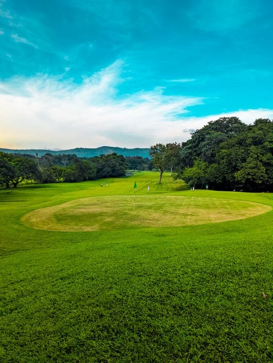 Golf — photo d’ambiance